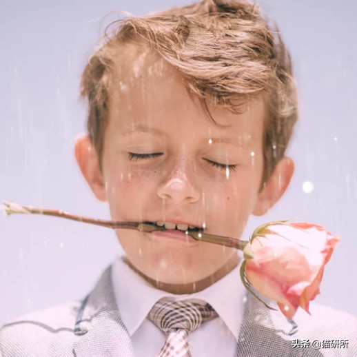 猫咪一副听不懂人话的样子,猫咪一副不太聪明的样子