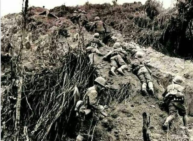 黑豹行动老山作战纪实视频,老山前线黑豹行动