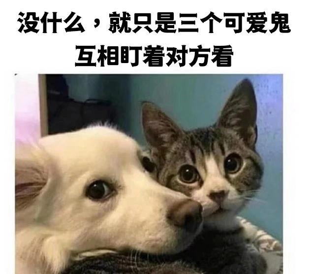 寝室群名称大全女生可爱,你们的寝室群名叫什么