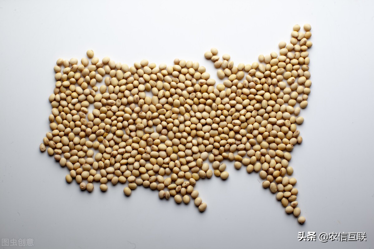 2018年我国从巴西美国进口大豆量,进口美国3300万吨大豆