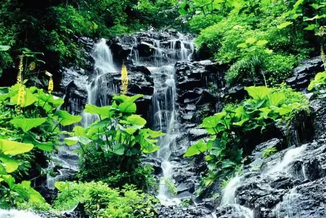 五一最佳游玩地,五一风景最好的自驾游