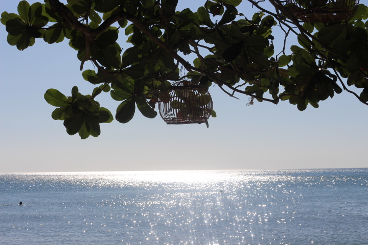 泰国象岛旅游自由行,象岛穷游攻略