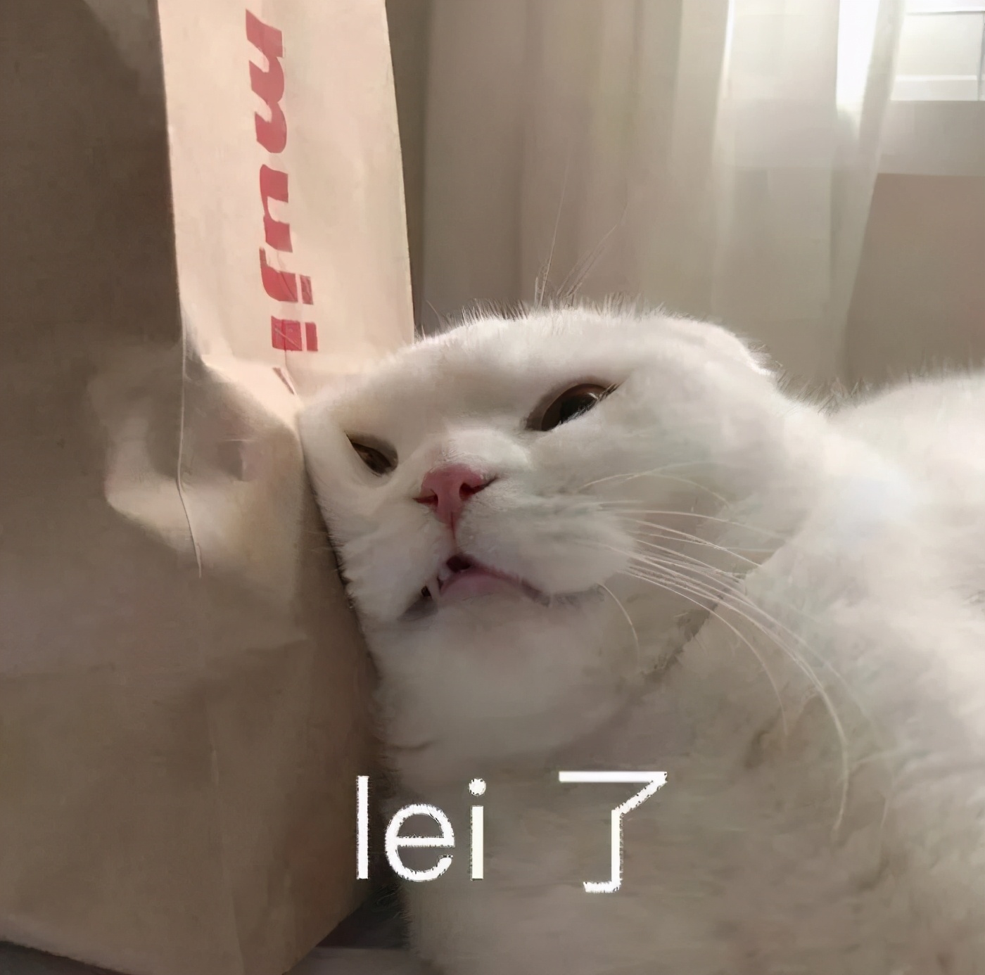 岛内租房攻略来啦！厦门岛内大*迁拆**！我们这些“租房人”要搬去哪