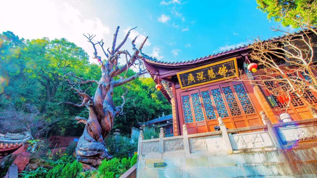 邛海湿地公园旅游攻略路线,西昌邛海住民宿攻略