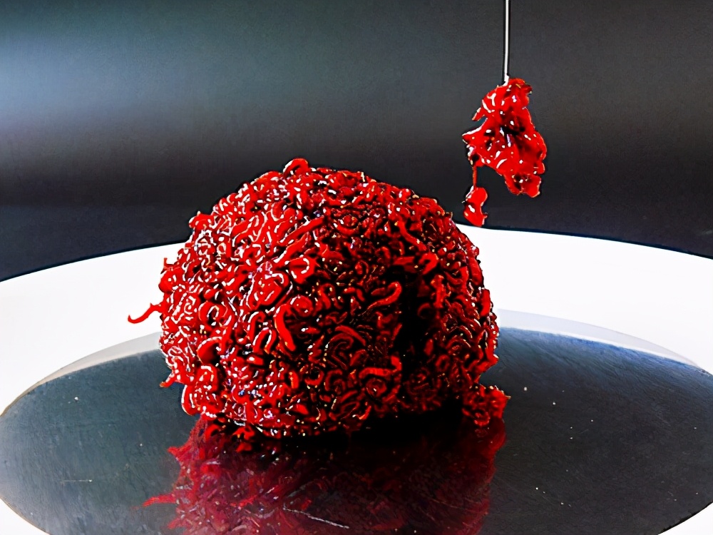 红虫饵的饲养方法,红虫最佳使用方法