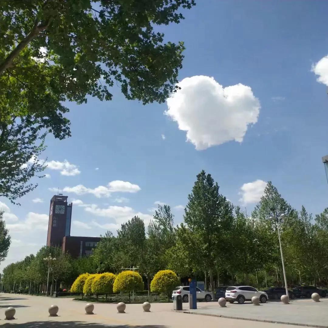 夏日限定——河北政法的美景