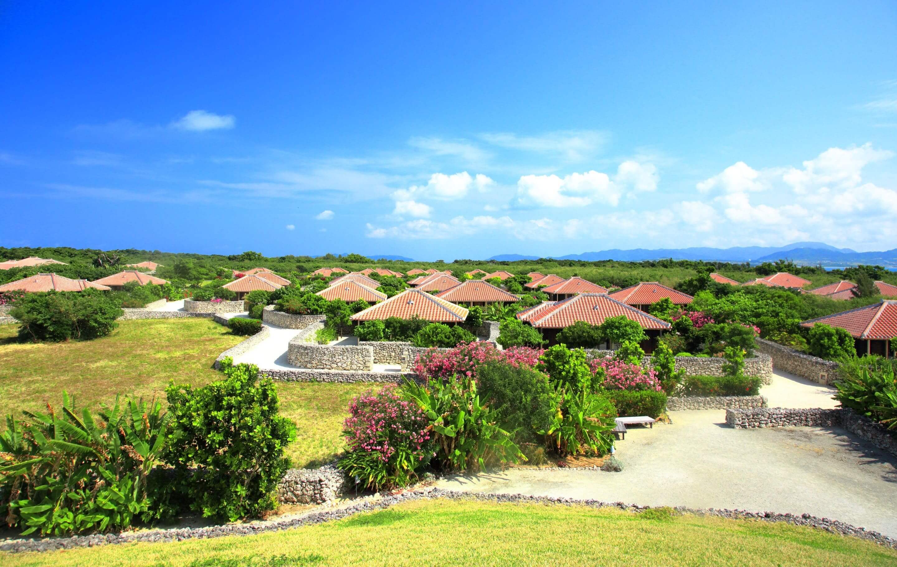 六天五晚的纯玩旅游,6天五晚日本游东京跟大阪
