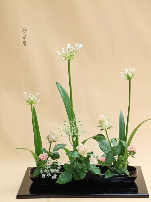 周末去哪儿小说,周末去哪儿玩免费景点