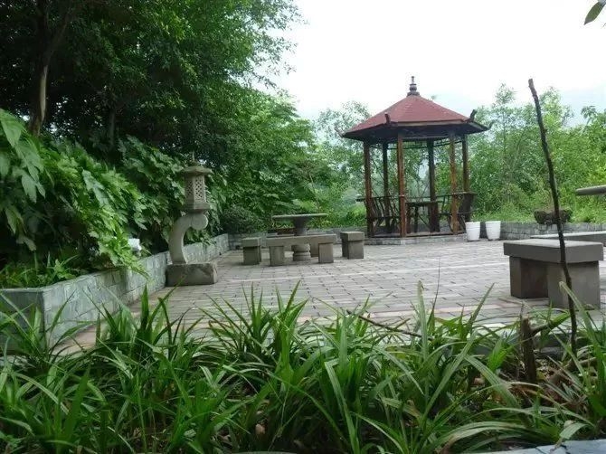 重庆周边适合篝火晚会的农家乐,重庆大学城周边农家乐和休闲农庄