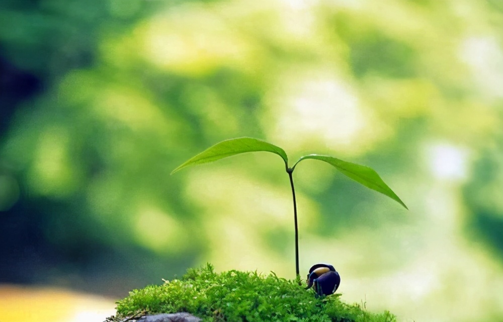 真正聪明的人身上有哪些特征,聪慧女人的特征