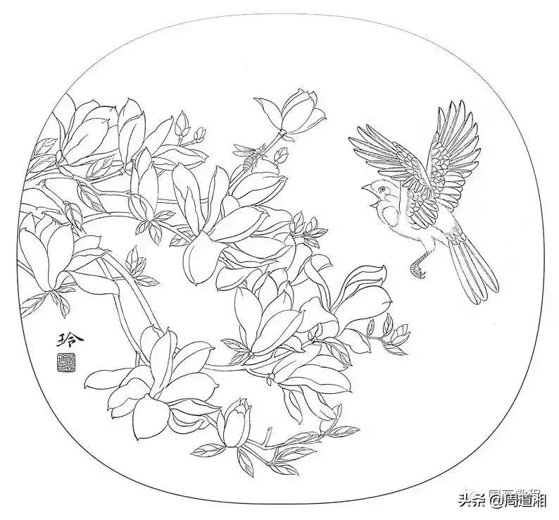 宋人工笔花鸟临摹步骤,工笔花鸟玉兰的画法