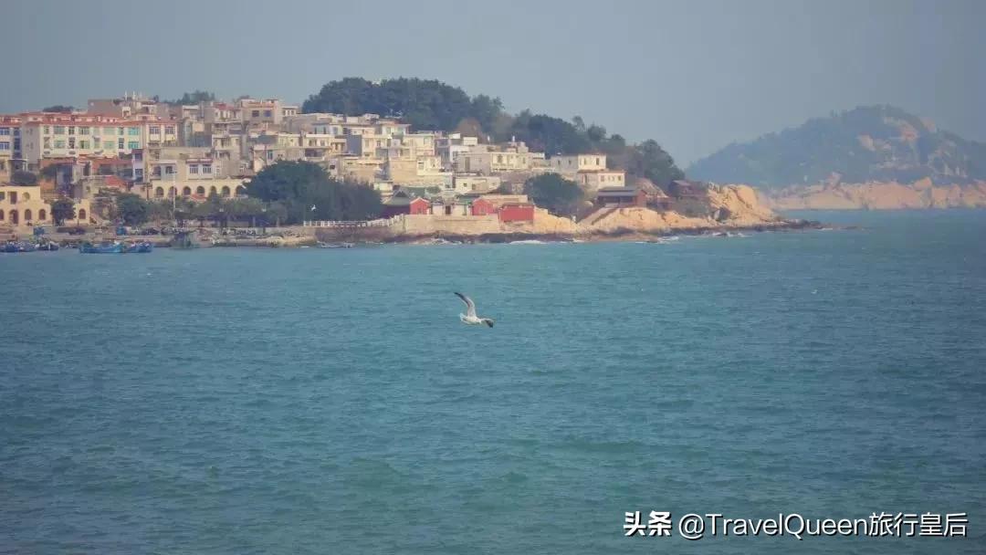 动物森友会无人岛一天可以去几次,动物森友会所有虫类图鉴