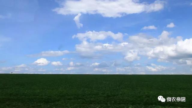 中国年年进口的大豆，为何让巴拉圭从富饶变得死寂？