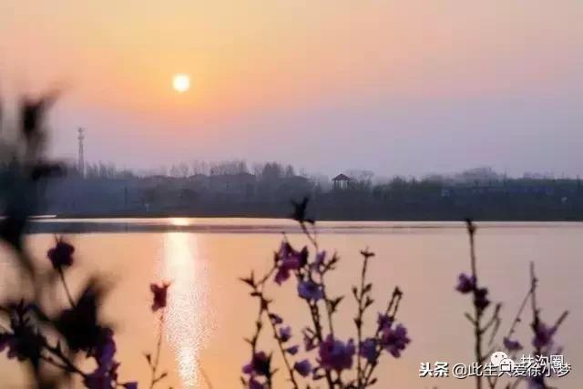 我的家乡，欢迎您来到扶沟！