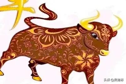 闵生裕先生辛丑说牛