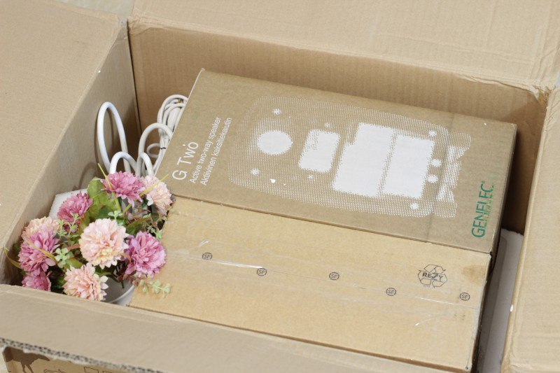 真力G1监听有源音箱,真力有源监听音箱效果