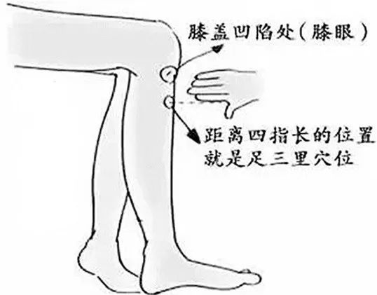 三伏灸三句半,肾阳虚三伏灸的穴位和方法