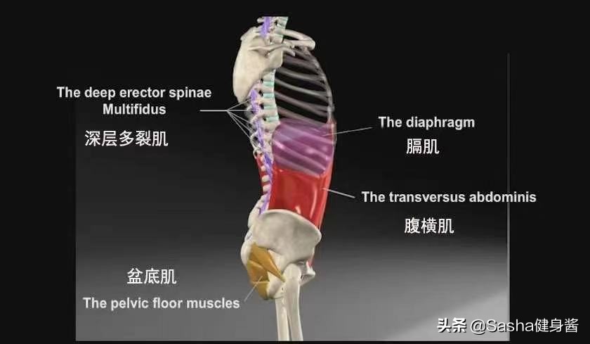 杜蕾斯男模,杜蕾斯新晋男模
