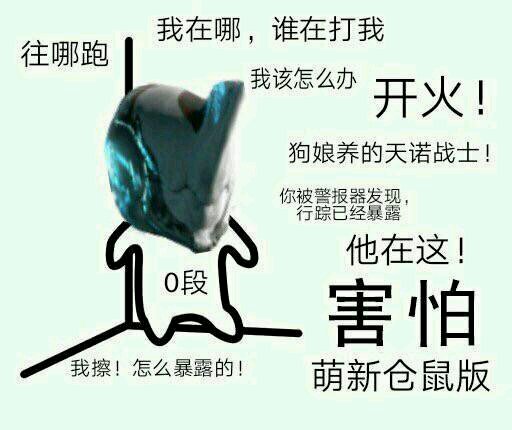 《warframe》——开局一只鼠，装备全靠肝