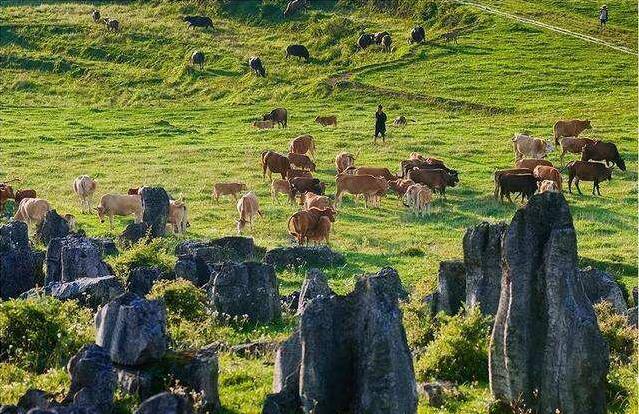 云南石林养老优缺点是什么,云南石林买房