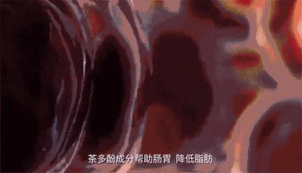 燃脂暴瘦裤,光速瘦腿燃脂小猪裤