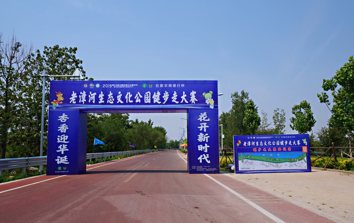 “杏运”来袭：这个县城一件事儿坚持了28年