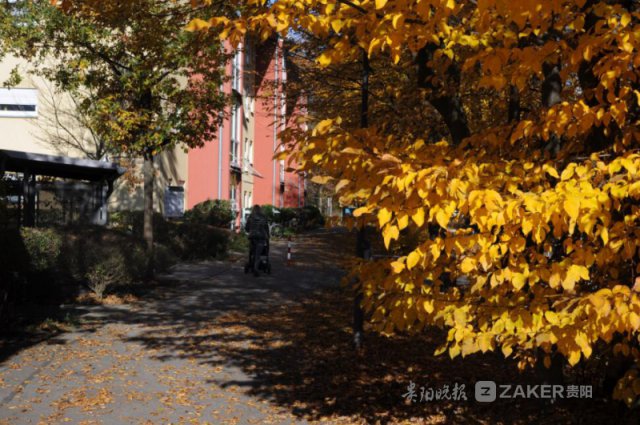 贵州改革开放四十年的变化,贵州改革开放40年震撼视频