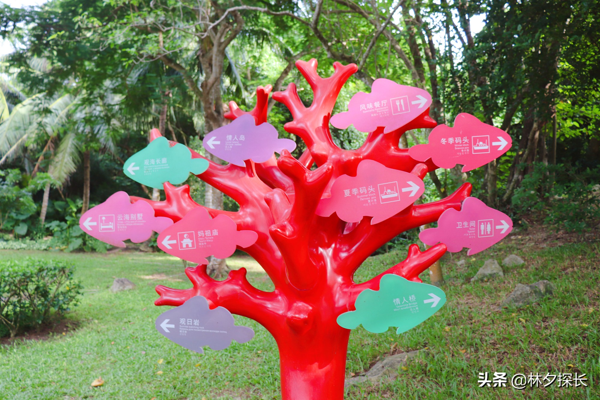 中国第一潜水基地——三亚蜈支洲岛，别名“烧钱岛”