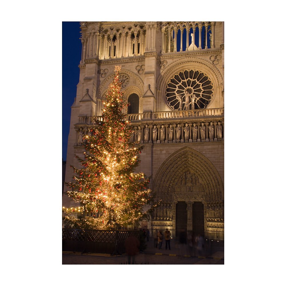 didierdubot什么品牌,didierdubot珠宝档次