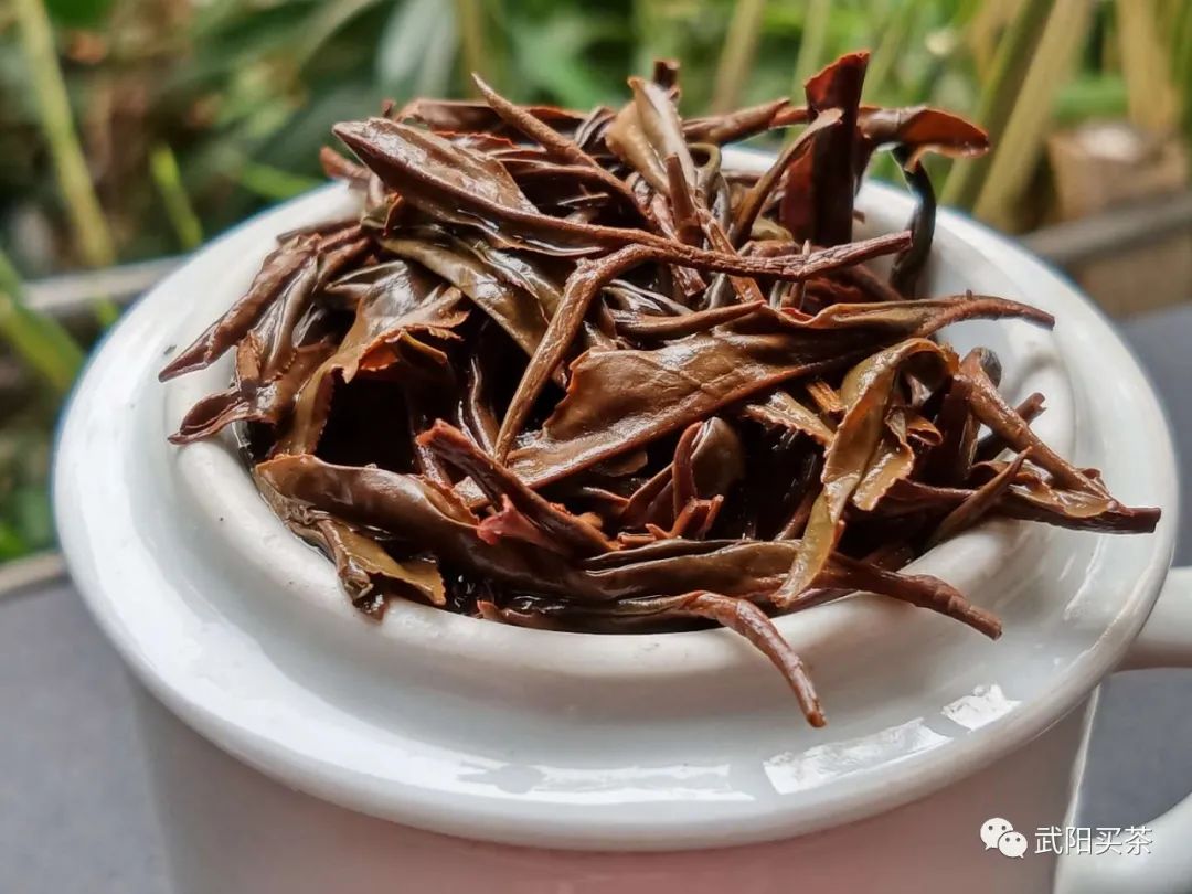 红茶加工|形成红茶品质的条件和红茶基本特征
