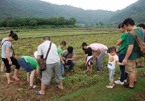 2018农村商业项目,未来有发展前景的农村项目