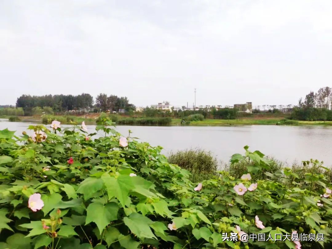 临泉县流鞍河规划,安徽临泉流鞍河在修么