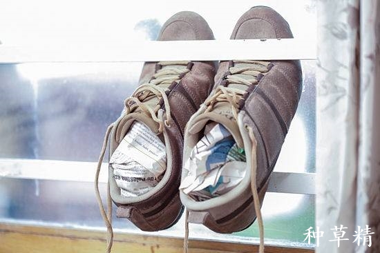 不穿浪费,穿则自虐。新鞋磨脚怎么办?小窍门解放你的双脚