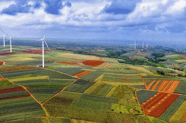 湛江菠萝海在哪个地方,湛江的菠萝海在哪里