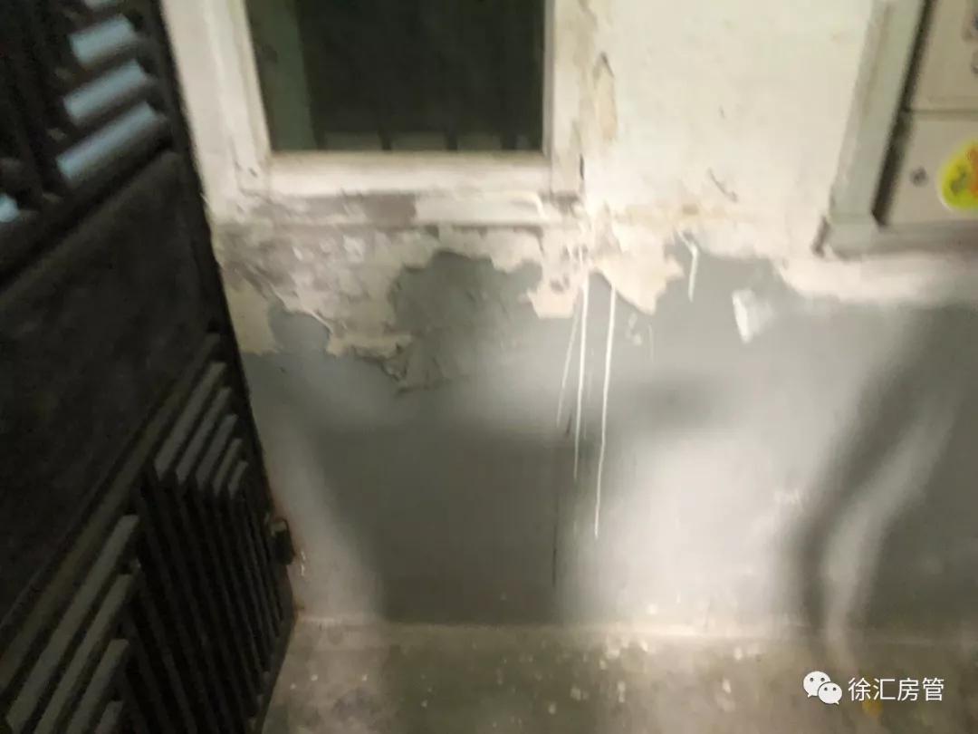 三无小区改造成美好家园,升级改造老旧小区变身幸福港湾