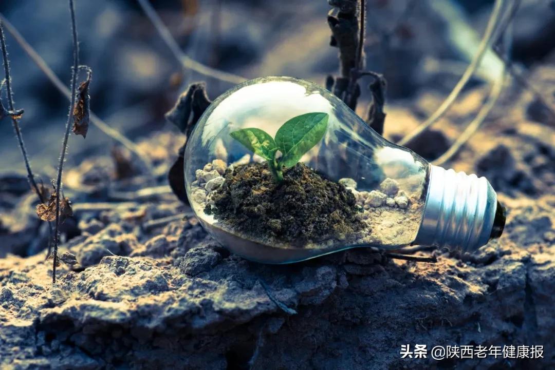 毒隐翅虫怎么来家里的,毒隐翅虫最佳治疗方法