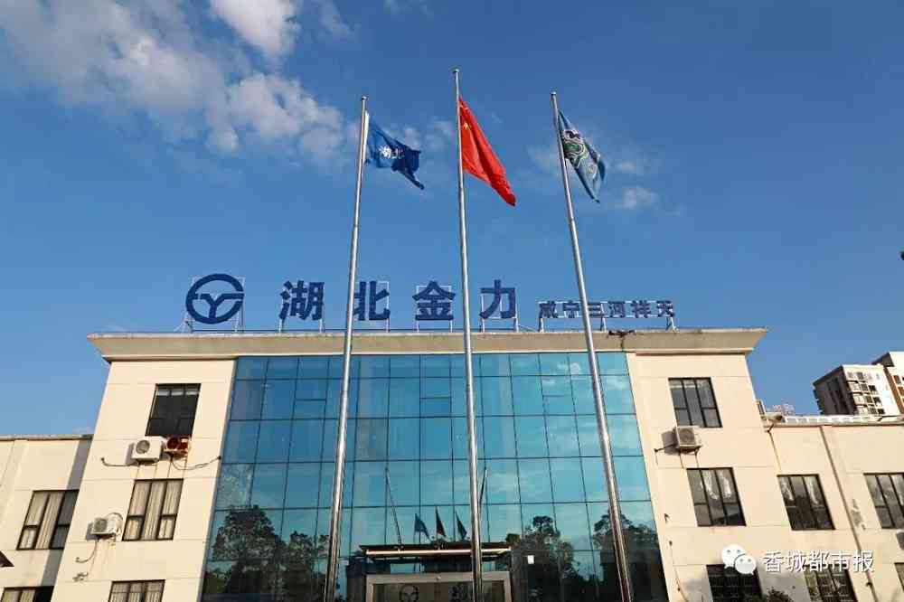 从咸宁到纳斯达克！咸宁这家公司即将展翅腾飞！未来不可限量！