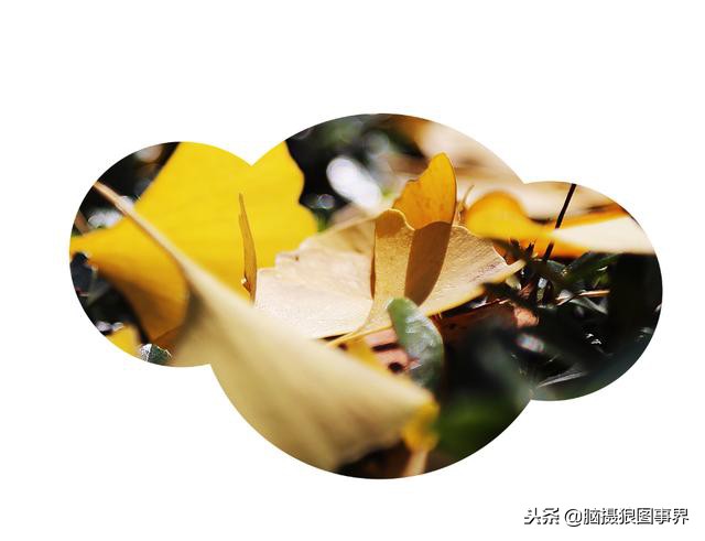 ps中的四类蒙版怎样应用,photoshop中如何添加蒙版