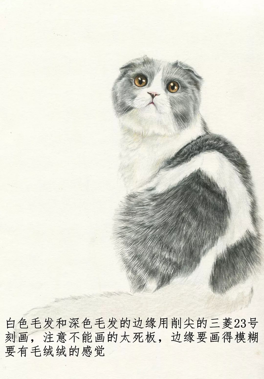 素描动物入门知识,素描动物简单入门教程狗