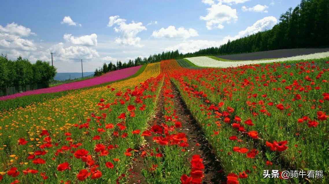 为什么很多人认为炒股就是投机,买股票和赌博一样吗