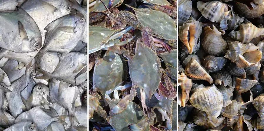 欢迎来连云港吃海鲜,连云港哪里吃海鲜便宜又实惠贴吧