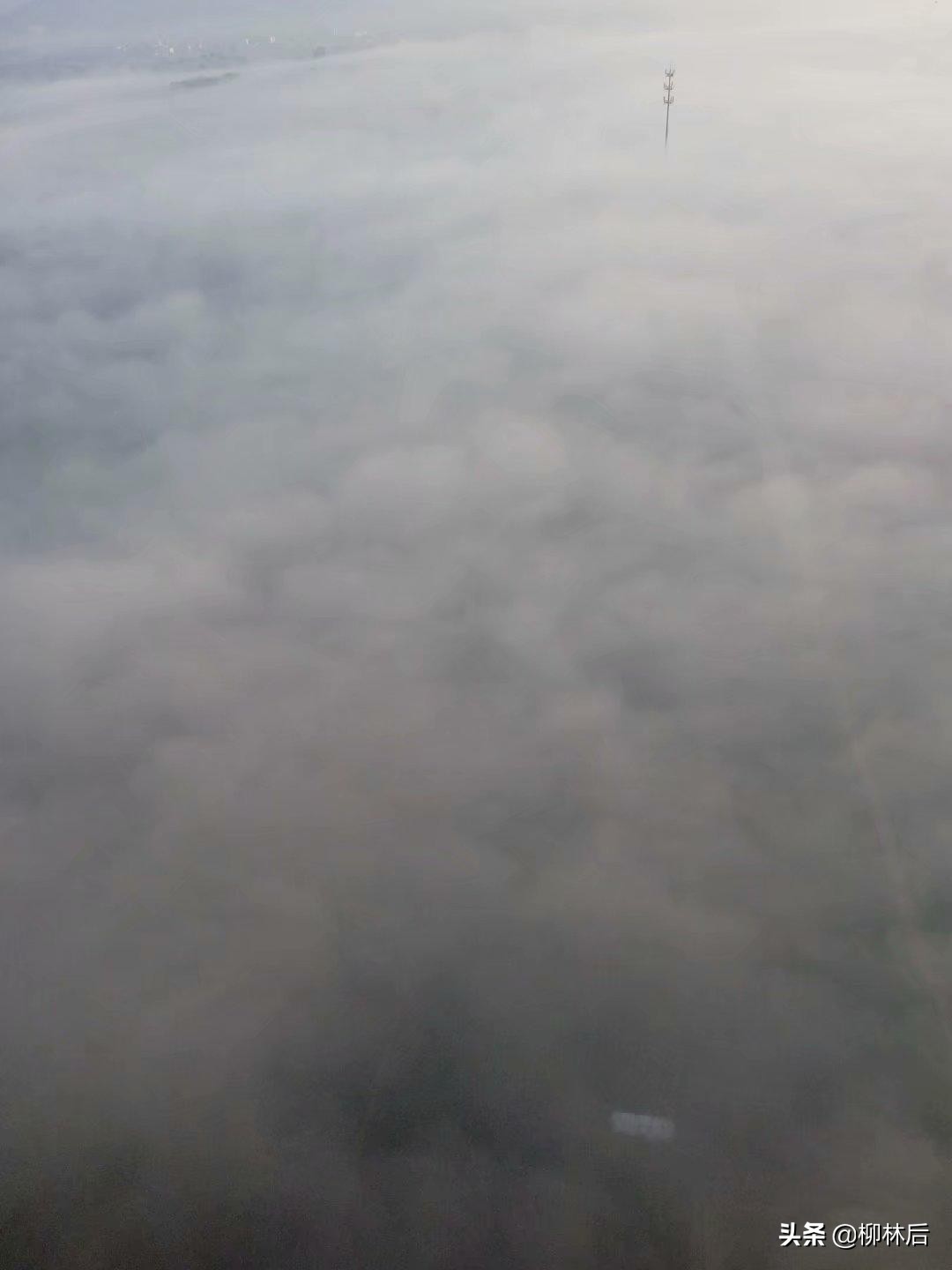 璞嗙摚鐢靛奖鐢熸棩蹇箰,璞嗙摚2022骞寸數褰辨帓琛屾top10