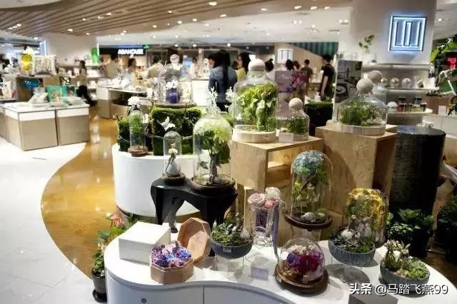 上海人的小资生活,上海是精致主义和小资情调