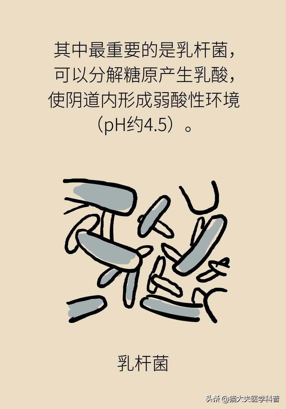 阴道炎会导致宫颈癌吗？