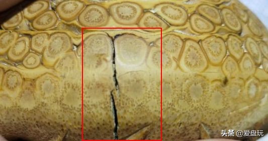 文玩佛珠老炮,文玩手把件打法图解