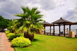 海上花园鹭岛行,海上花园鹭岛城市