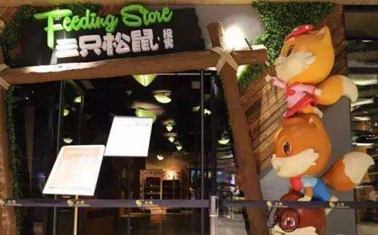 三只松鼠2020年全年收入,三只松鼠创业发展故事