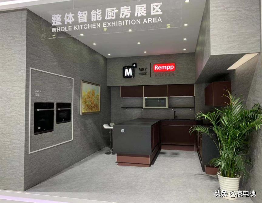 布局智能与高端整体厨房领域,智能家居领域布局