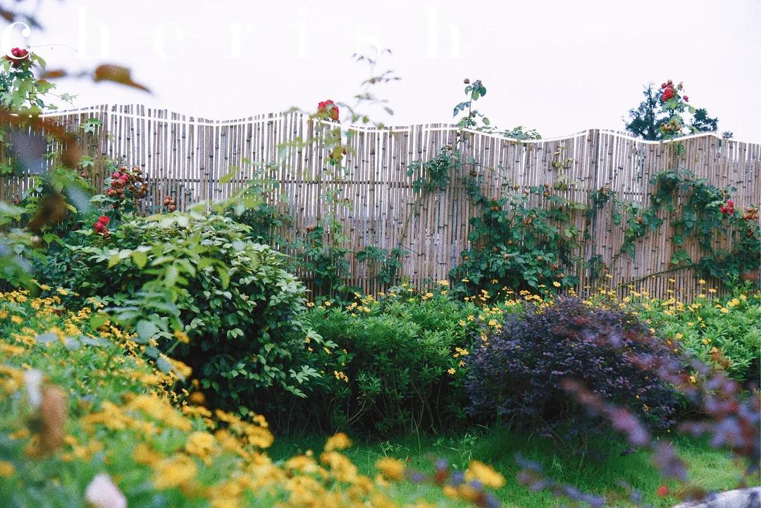 崇州温泉独栋民宿,崇州云来小院