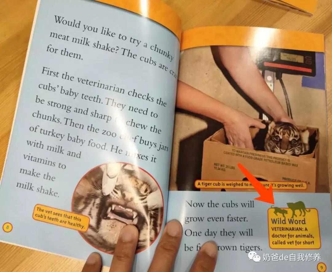 关于动物有趣的书小学生,关于动物好看的书有哪些